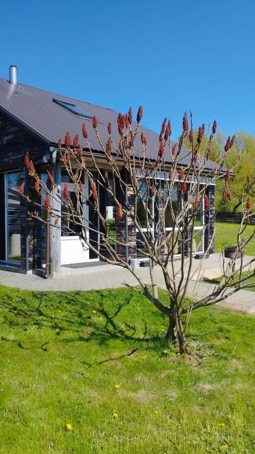 Add Story Guest House Rēzekne Eksteriør billede
